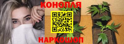 марихуана Ставрополь