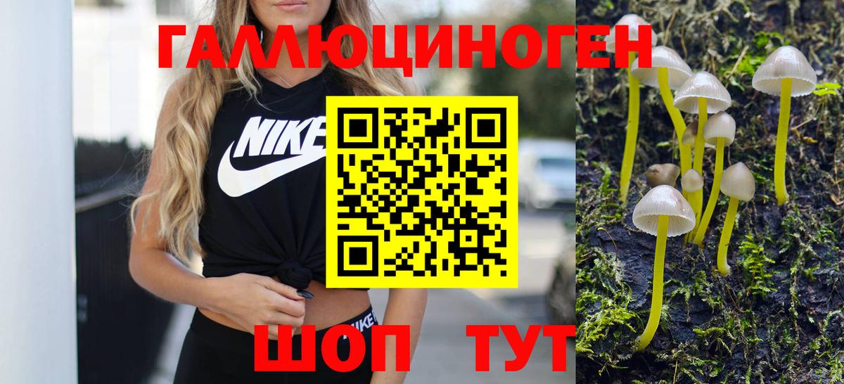 Псилоцибиновые грибы Psilocybine cubensis Ногинск