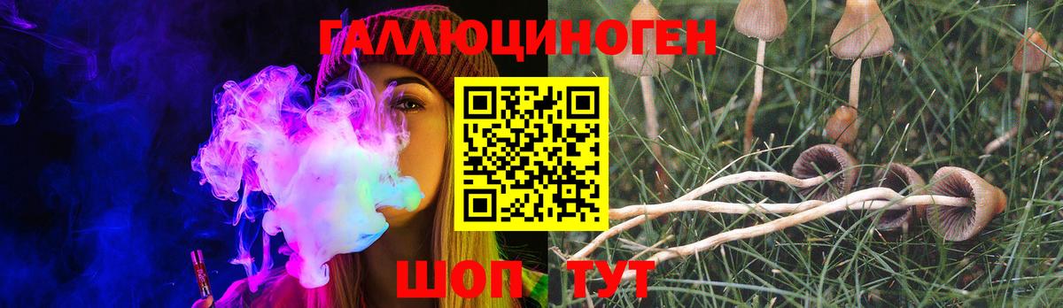 Псилоцибиновые грибы Psilocybine cubensis  Вход с VPN  Ногинск 